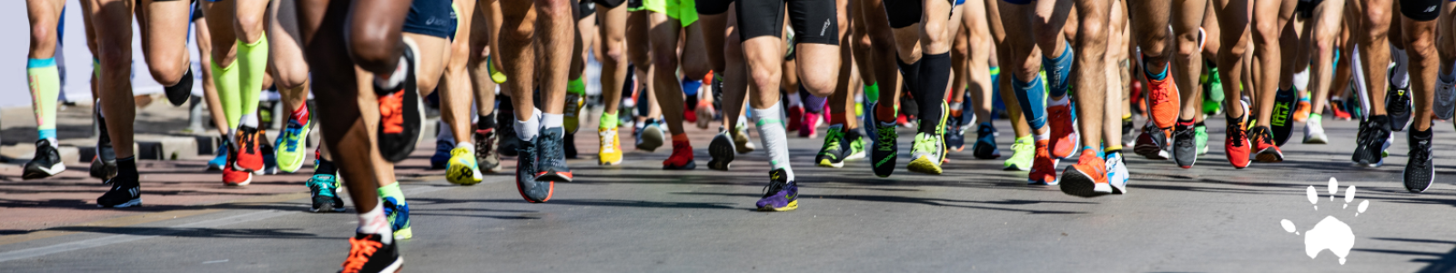 NYC MARATHON 2026