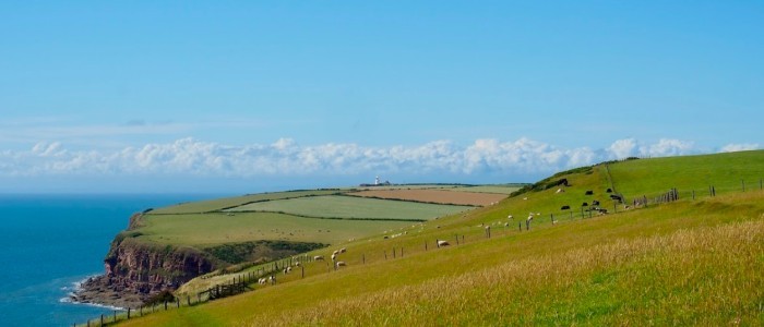 Harvey\'s Walk Across England